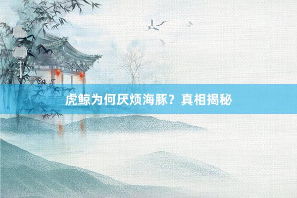 虎鲸为何厌烦海豚？真相揭秘